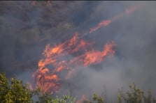 Orman yangını mağdurlarına 21,6 milyon TL yardım yapıldı