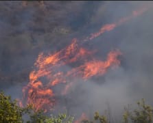 Orman yangını mağdurlarına 21,6 milyon TL yardım yapıldı