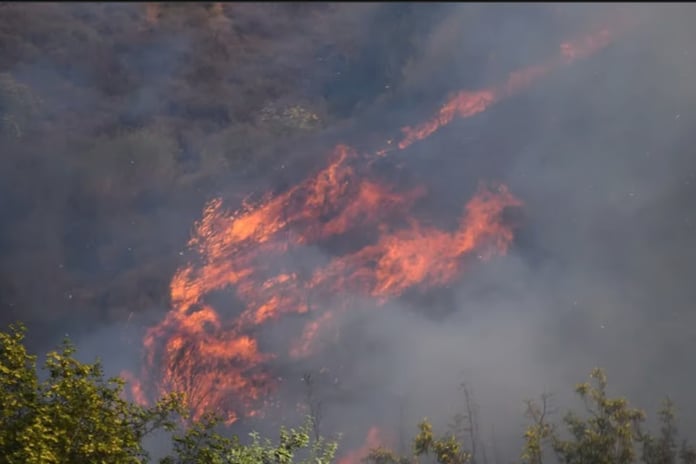 Orman yangını mağdurlarına 21,6 milyon TL yardım yapıldı