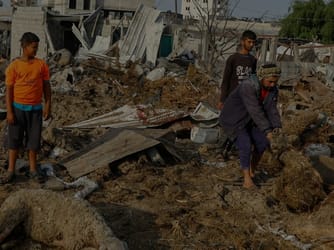 Israel’s “Scorched Earth” Policy Devastates Gaza’s Farmlands