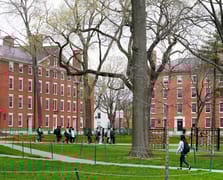 Trump yönetimi Harvard'a ayrımcılık soruşturması açtı