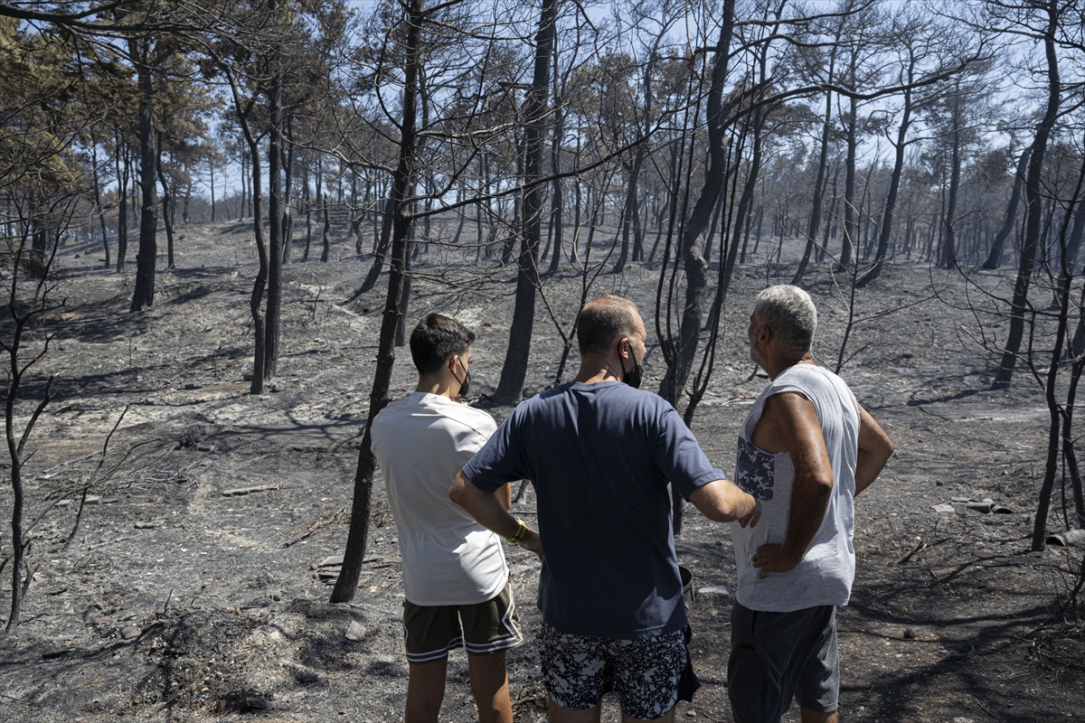 Çanakkale'deki orman yangınında alevler içinde kalan site