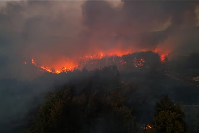 Minibüste başlayıp ormanlık alana sıçrayan yangınla ilgili 4 sanığa hapis istemi