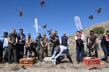 Kene ile mücadele için doğaya 600 adet kınalı keklik bırakıldı