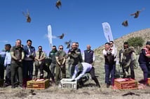 Kene ile mücadele için doğaya 600 adet kınalı keklik bırakıldı