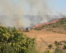 Otluk alanda çıkan yangın yerleşim bölgelerine ilerliyor