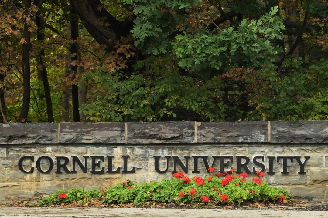 Cornell Üniversitesi'nde toplu cinsel saldırı skandalı