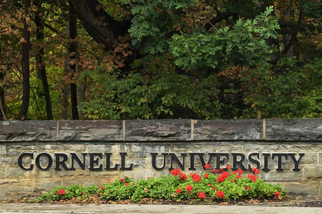 Cornell Üniversitesi'ndeki toplu tecavüz iddiasında yeni gelişme