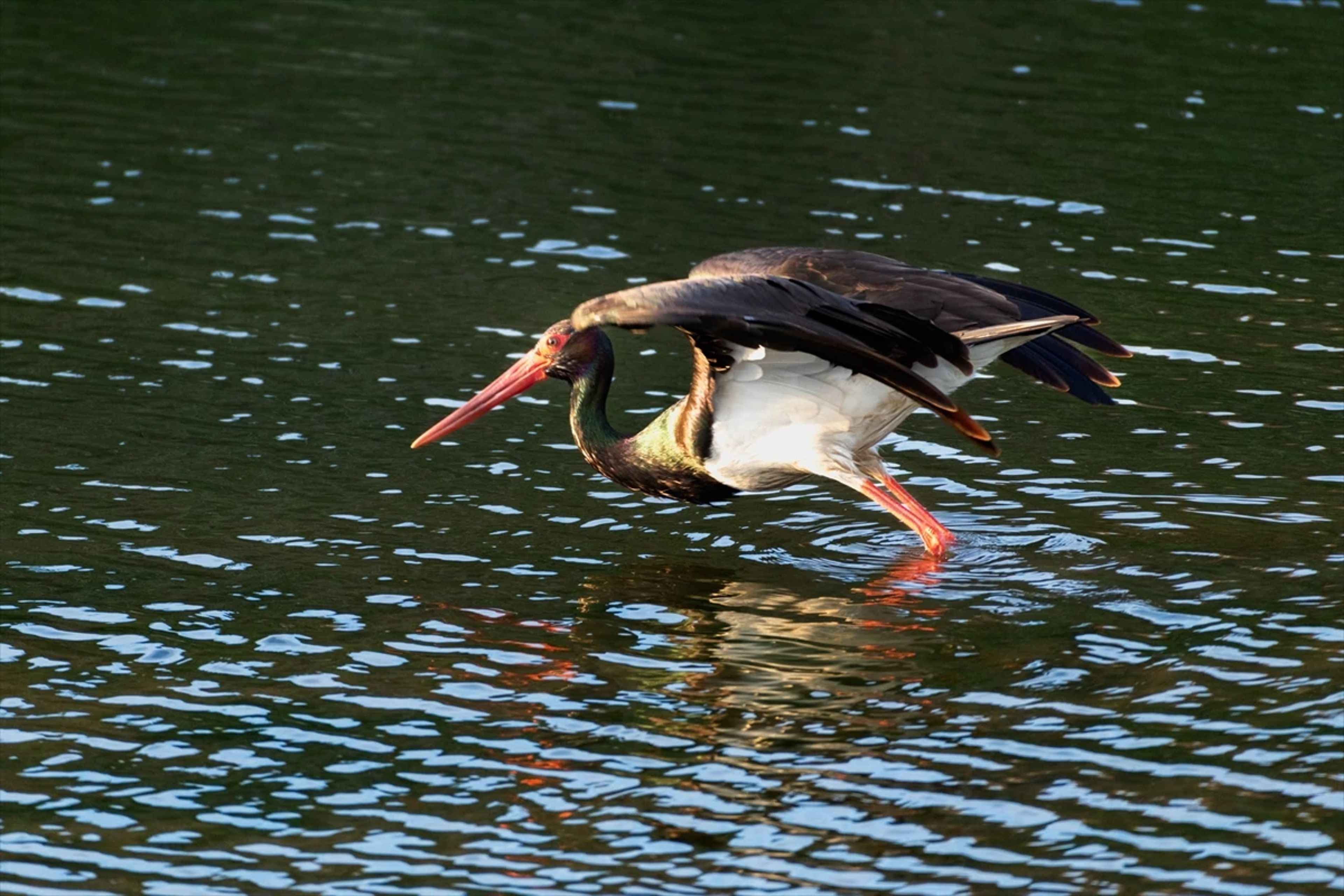 Galeri Fotoğrafı