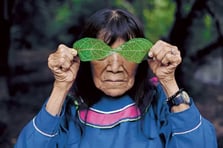 Amazon’un kalbinden dünyaya uzanan sanat