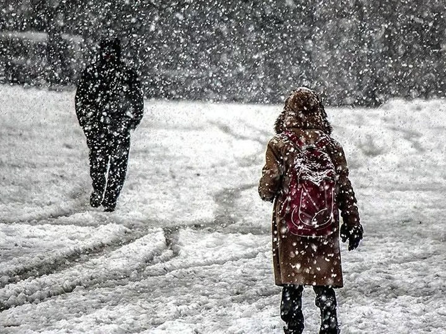 Doğu Anadolu'da 3 ilde okullar tatil edildi