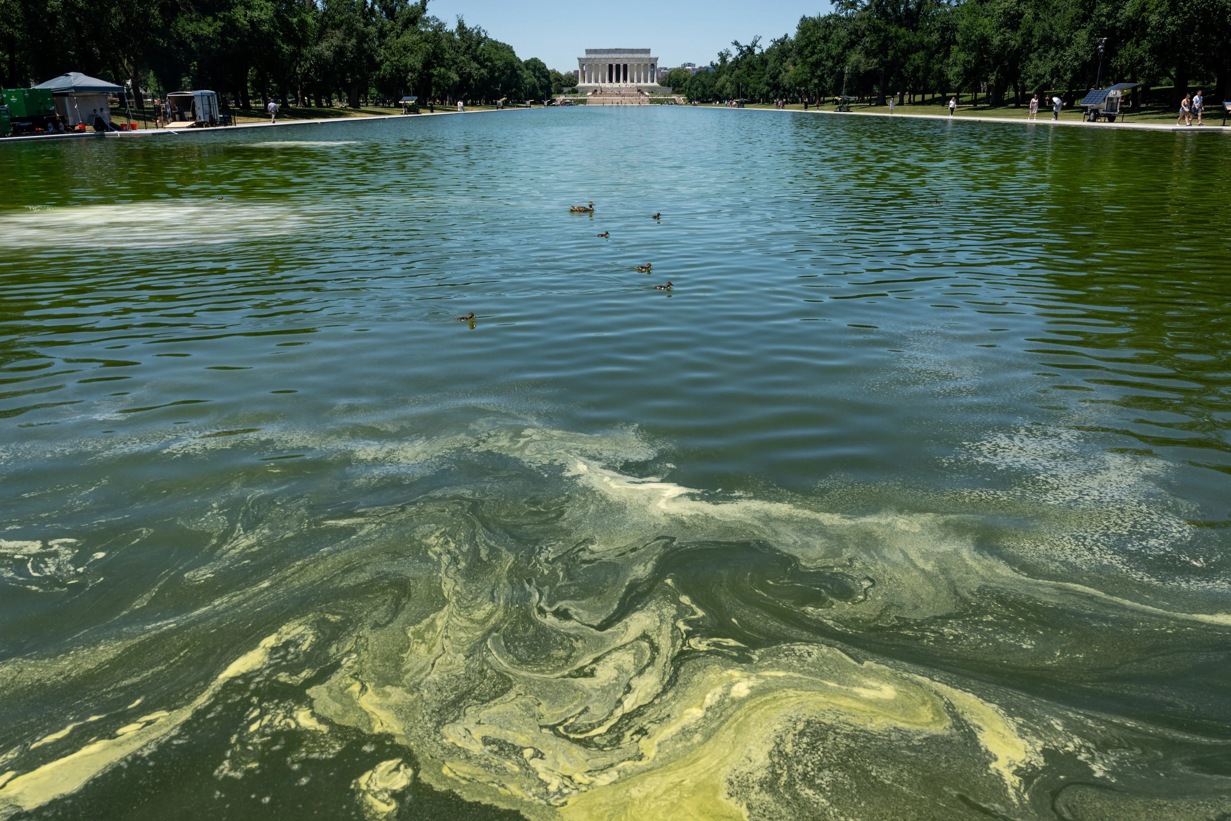 Trump's $14M Reflecting Pool Renovation Fails to Stop Algae