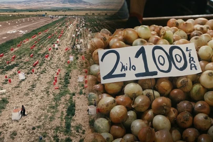 Soğanın fiyatı altınla yarışıyor!