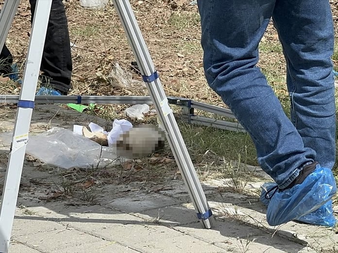 Adana'da çöp konteynerinin içinde kafatası bulundu