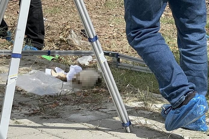 Adana'da çöp konteynerinin içinde kafatası bulundu