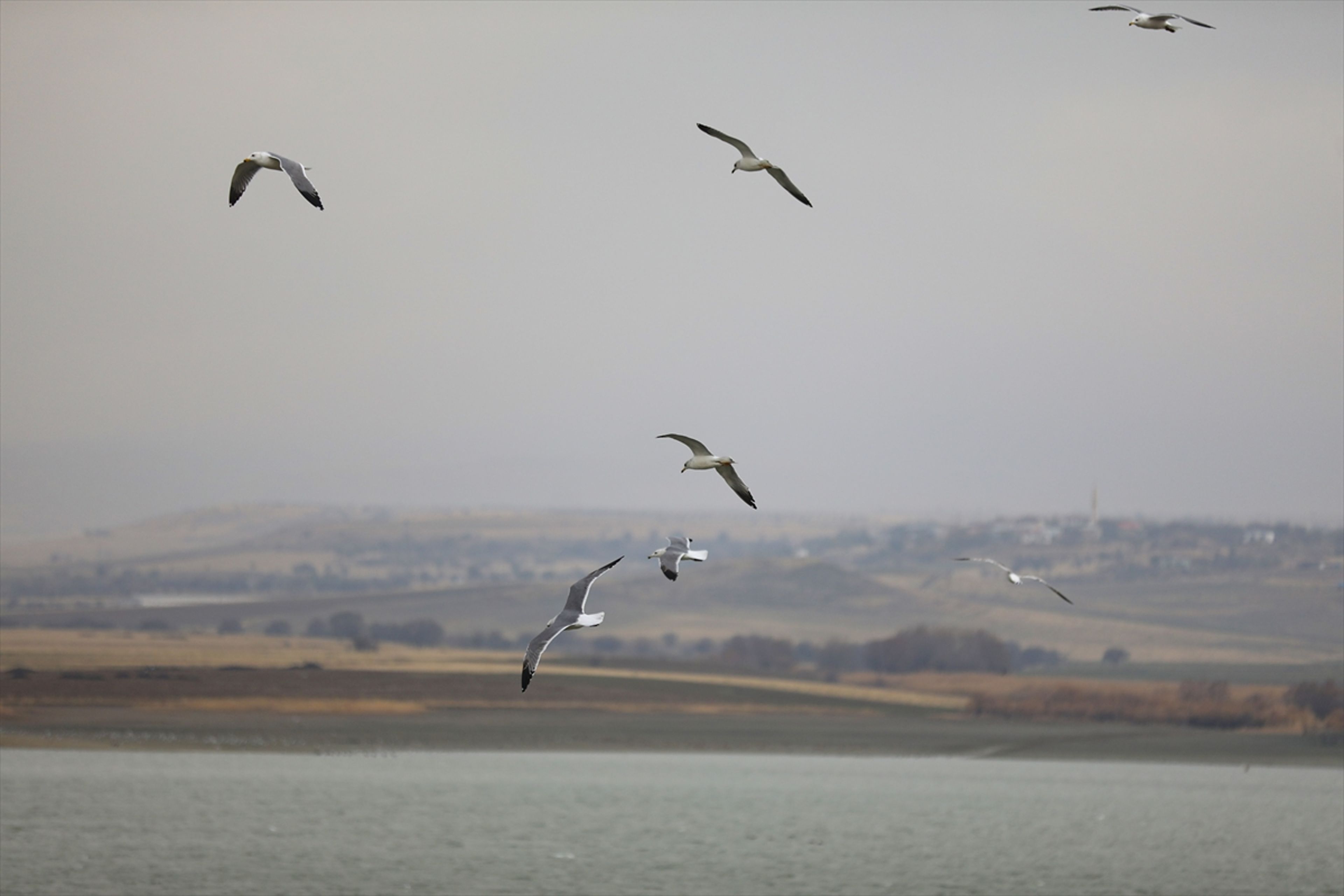 Galeri Fotoğrafı