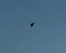 Türkiye savunma sanayisi mini İHA'larda yeni sayfa açıyor