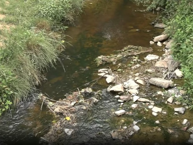 Şile Deresi kirliliği tartışması: Bakanlık 'Kirli' dedi, İBB yalanladı