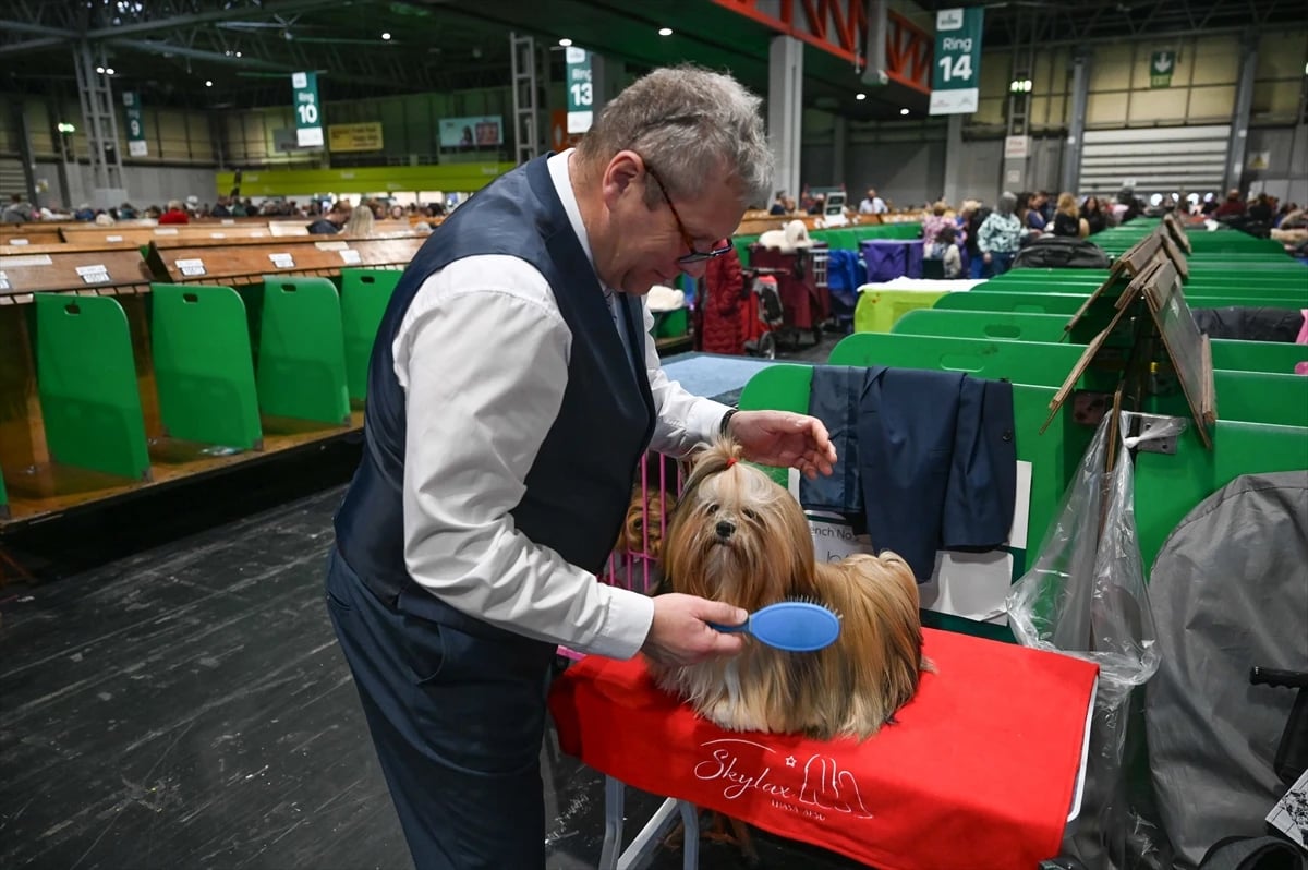 Dünyanın en büyük köpek gösterisi Crufts Birmingham'da devam ediyor