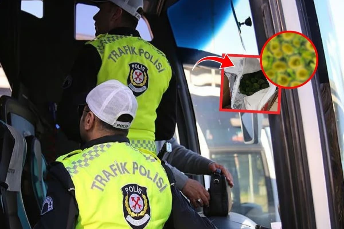 Kapıkule'de akılalmaz kaçakçılık: Yolcu otobüsünde 8,5 kilo canlı yeşil alg ele geçirildi!