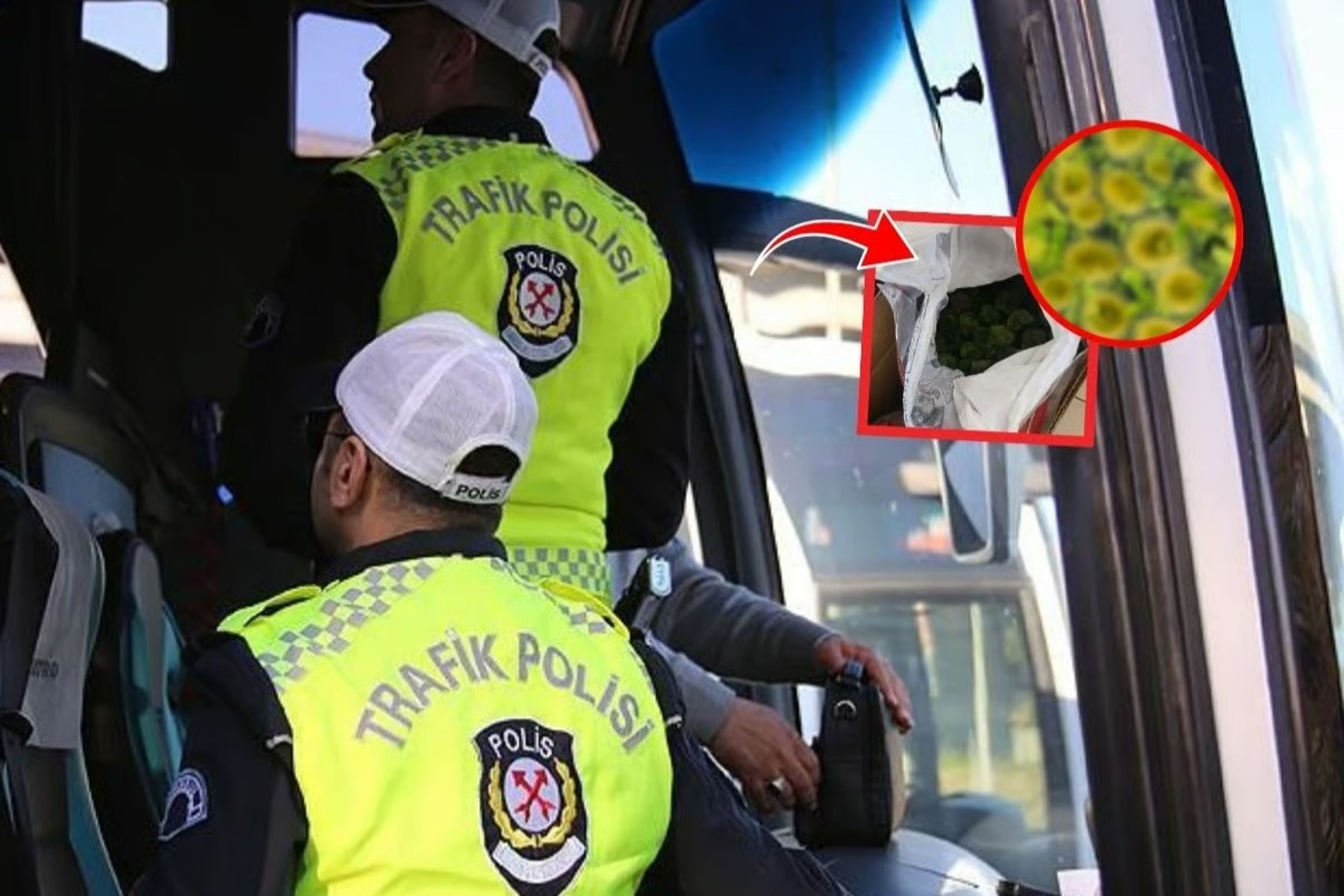 Kapıkule'de akılalmaz kaçakçılık: Yolcu otobüsünde 8,5 kilo canlı yeşil alg ele geçirildi!