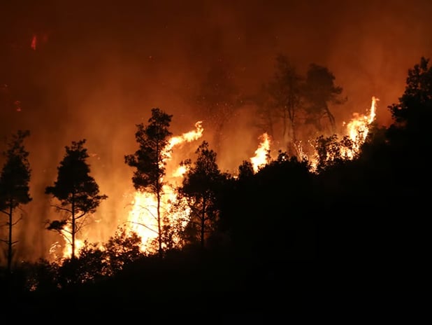 Lazkiye'de orman yangınları başladı