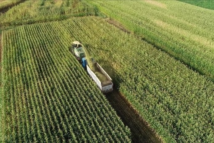 Türkiye, Uluslararası Tarım Birliği AARIENEA'da başkanlığa seçildi