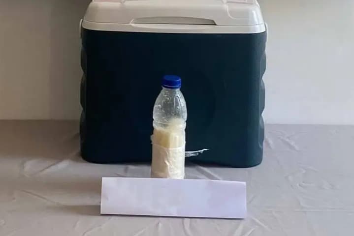 Suriye'den getirdiler Yalova'da yakalandılar