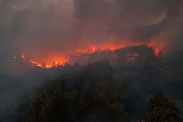 Minibüste başlayıp ormanlık alana sıçrayan yangınla ilgili 4 sanığa hapis istemi