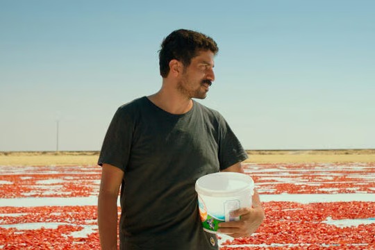 Türkiye'nin Oscar aday adayı belli oldu