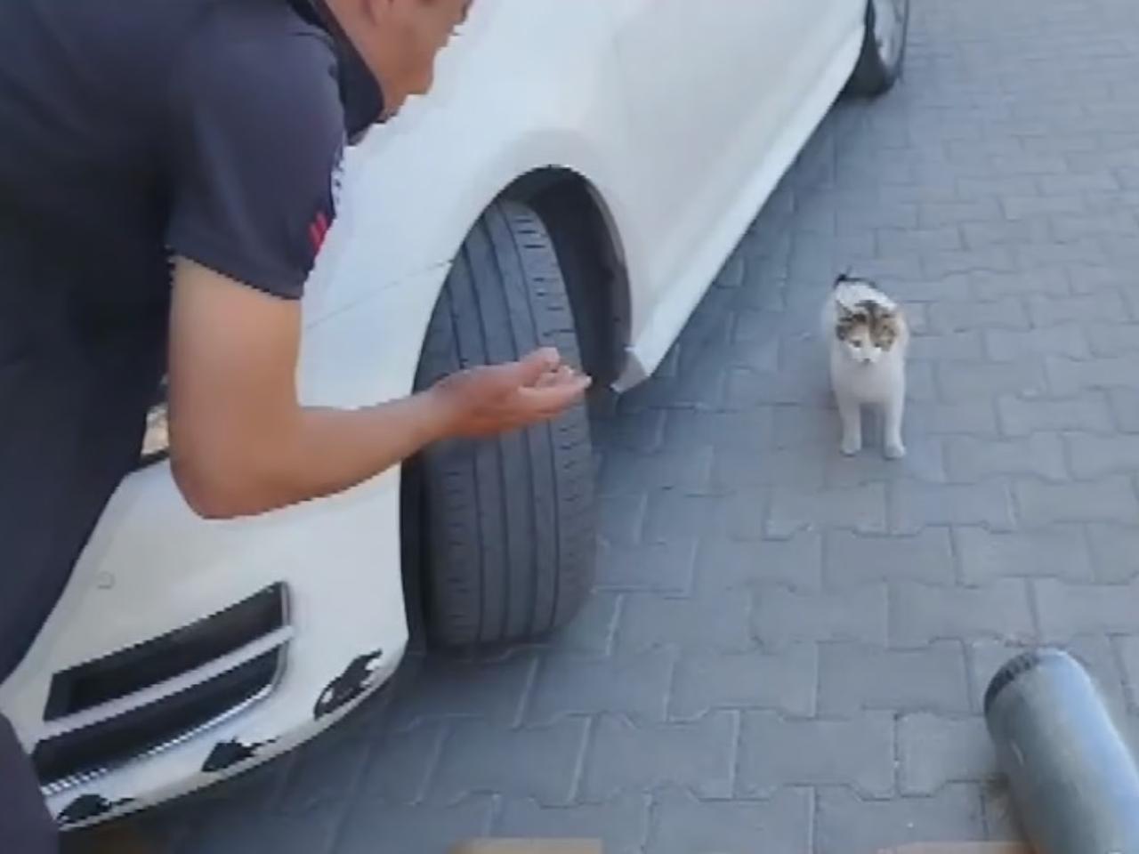 Saatlerce yavrularının kurtarılmasını bekledi