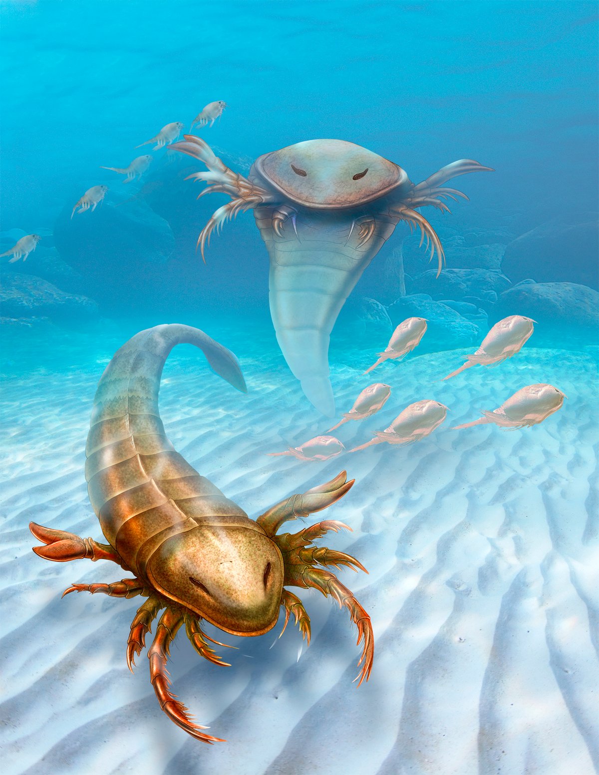 Bu sanatçının yorumunda gösterilen modern ıstakozlarla ilgili yaratıklar olan Pentecopterus deniz akrepleri, araştırmacıların Dünya'nın bir halkası olduğunu düşündüğü zamanlarda yaklaşık 467 milyon yıl önce yaşamış olacaktı. 