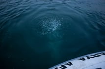 Sapanca Gölü’ndeki kabarcıklar su kalitesini etkilemiyor: Doğal hava çıkışı olduğu tespit edildi