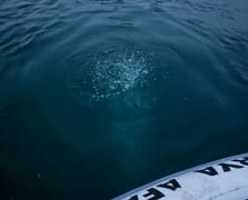 Sapanca Gölü’ndeki kabarcıklar su kalitesini etkilemiyor: Doğal hava çıkışı olduğu tespit edildi