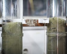 Marmara Denizi'nin kirlilik tarihinin araştırıldığı projede ön veriler gelmeye başladı