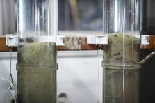 Marmara Denizi'nin kirlilik tarihinin araştırıldığı projede ön veriler gelmeye başladı