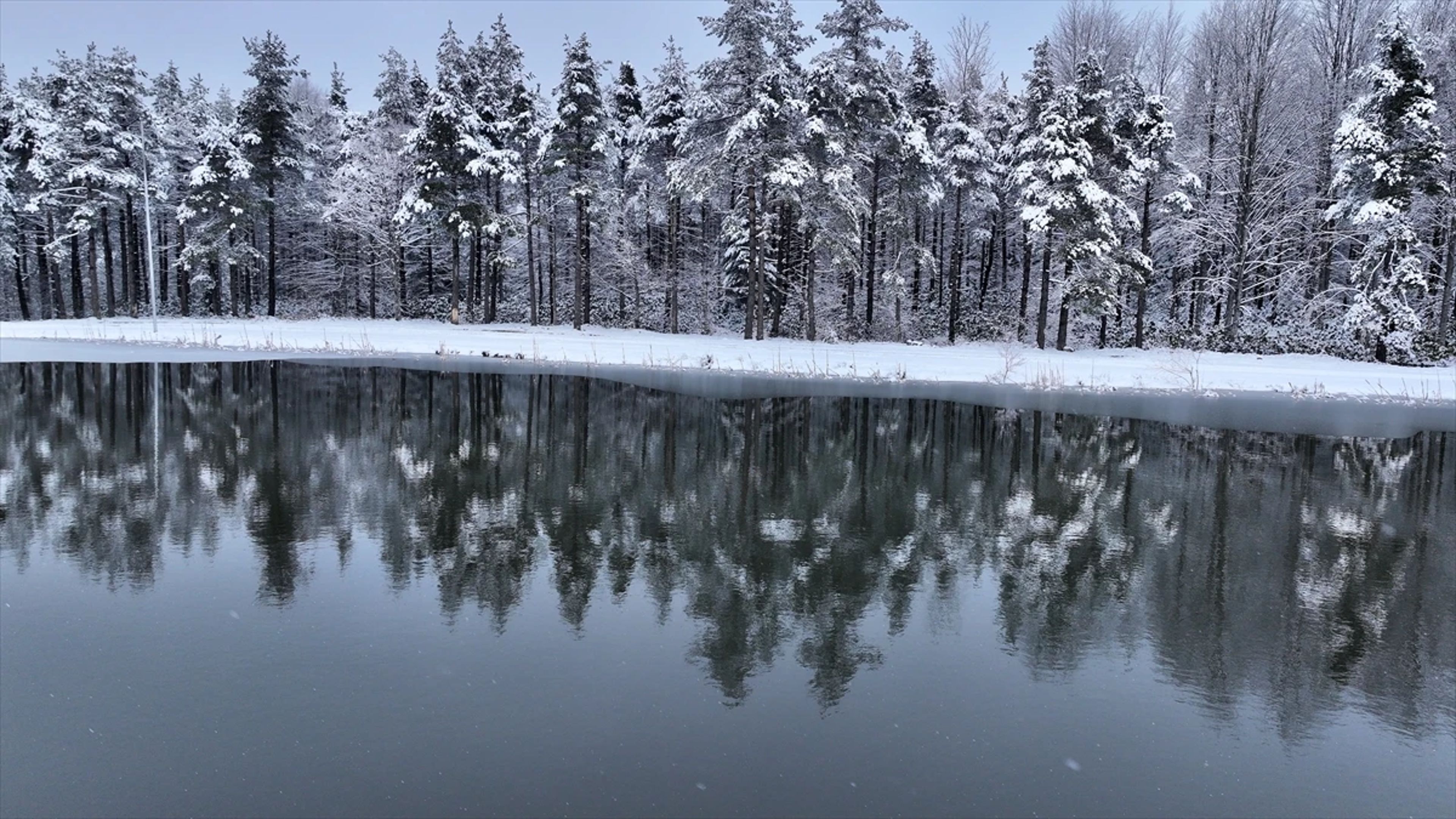 Galeri Fotoğrafı