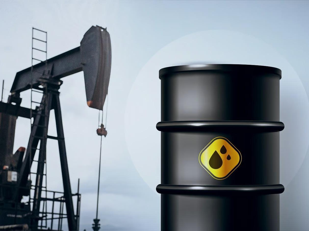Karadeniz'de yeni gaz Gabar'da petrol rezervi