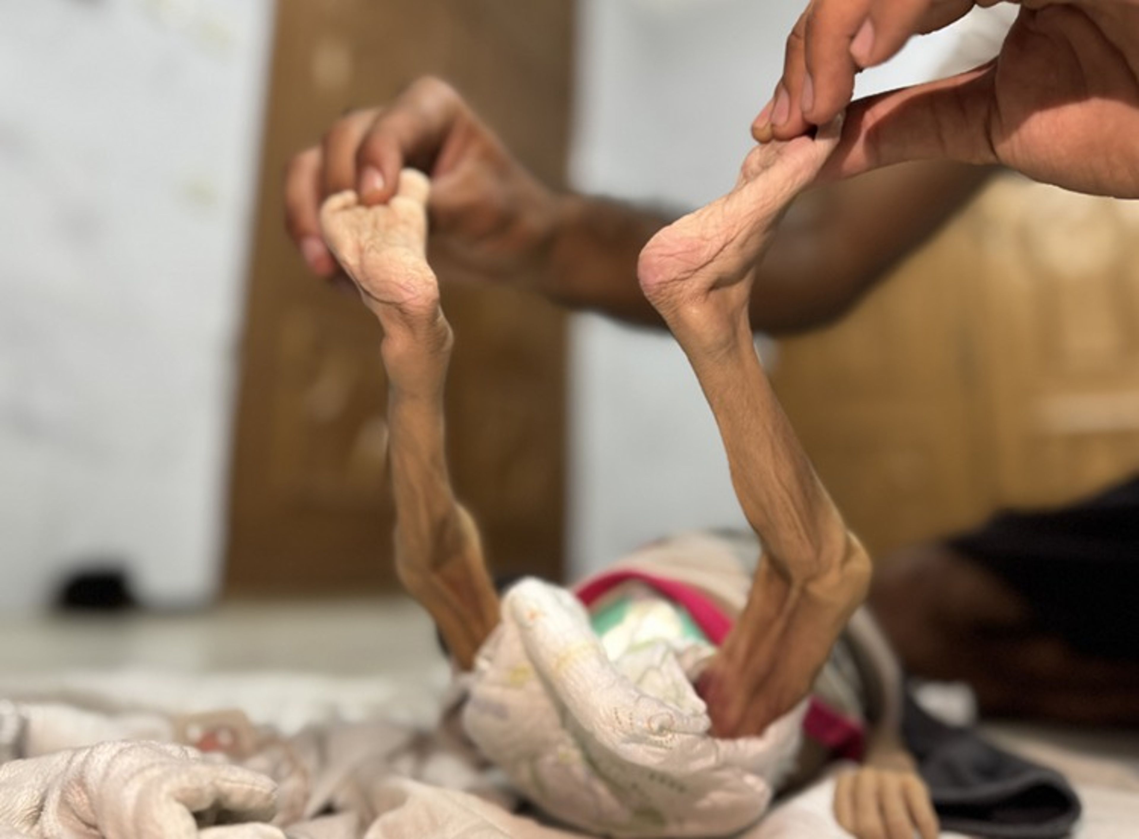 Galeri Fotoğrafı