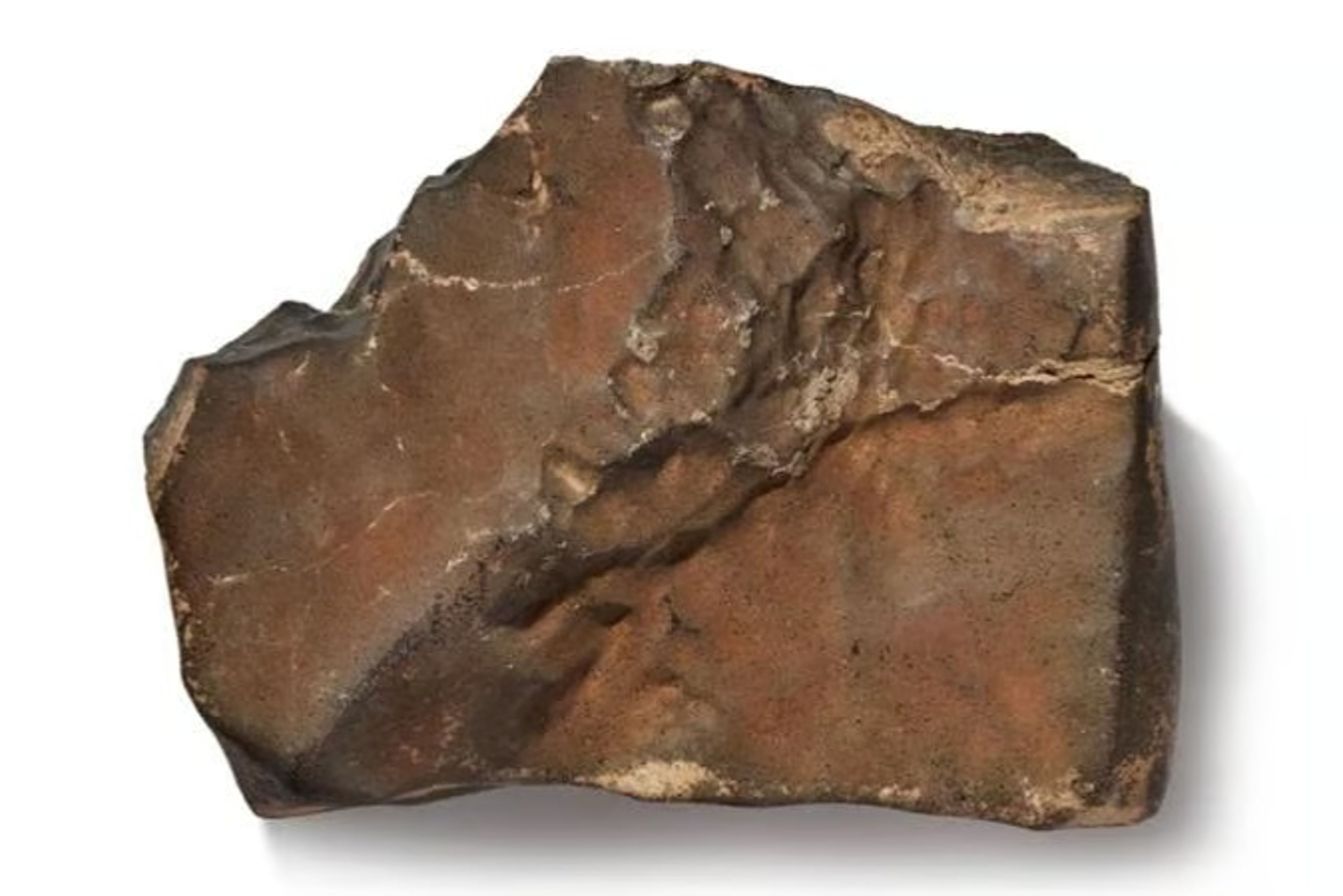 Mars’tan gelen en büyük göktaşı 5,3 milyon dolara satıldı
