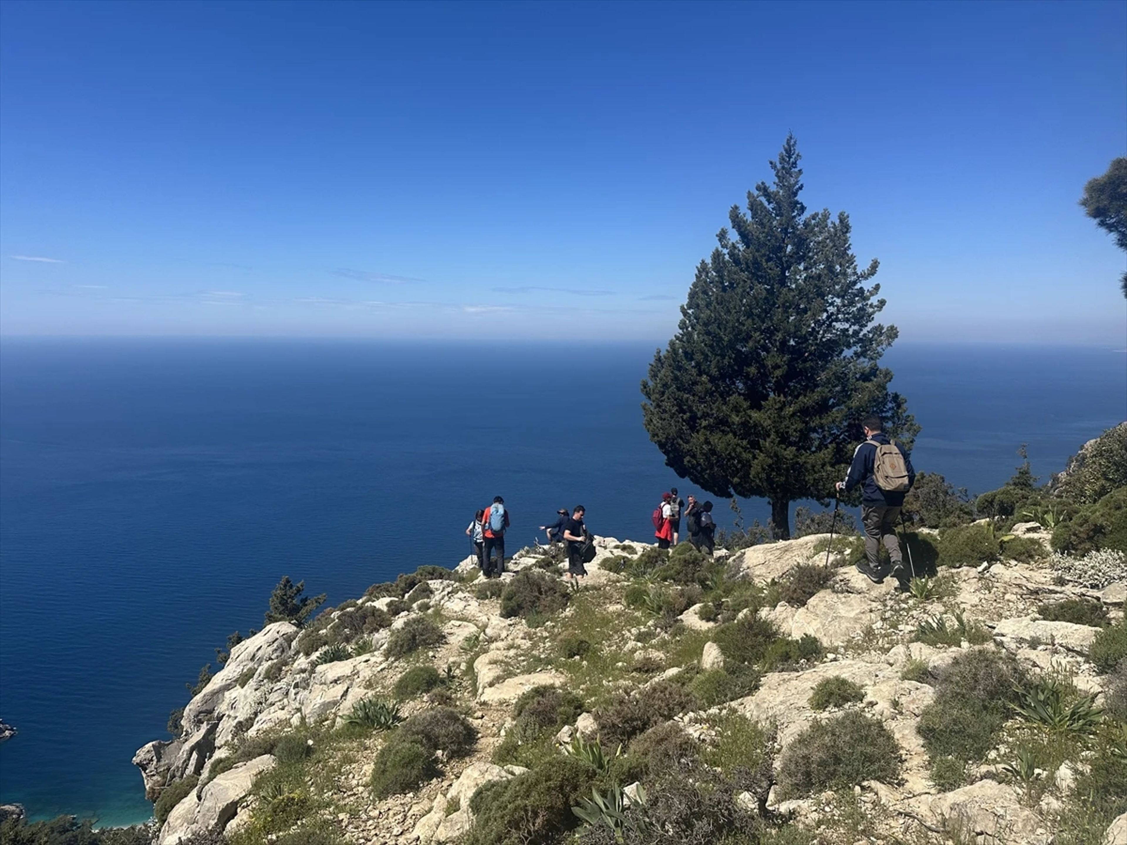 Galeri Fotoğrafı