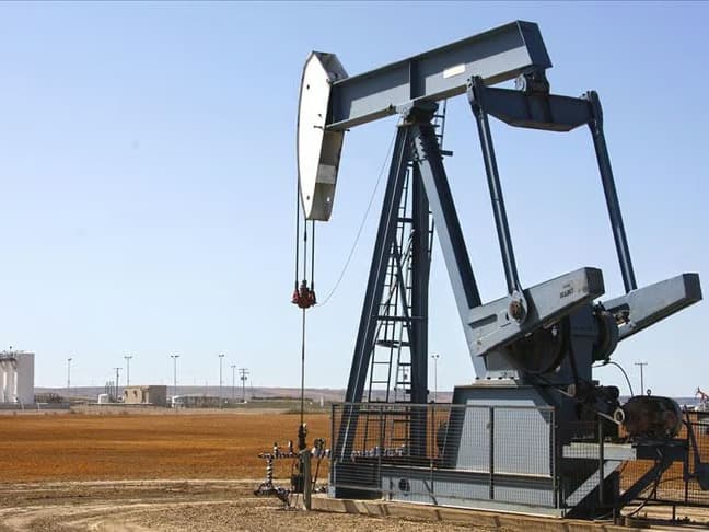 Petrol ve doğal gaz üretimi belli oldu