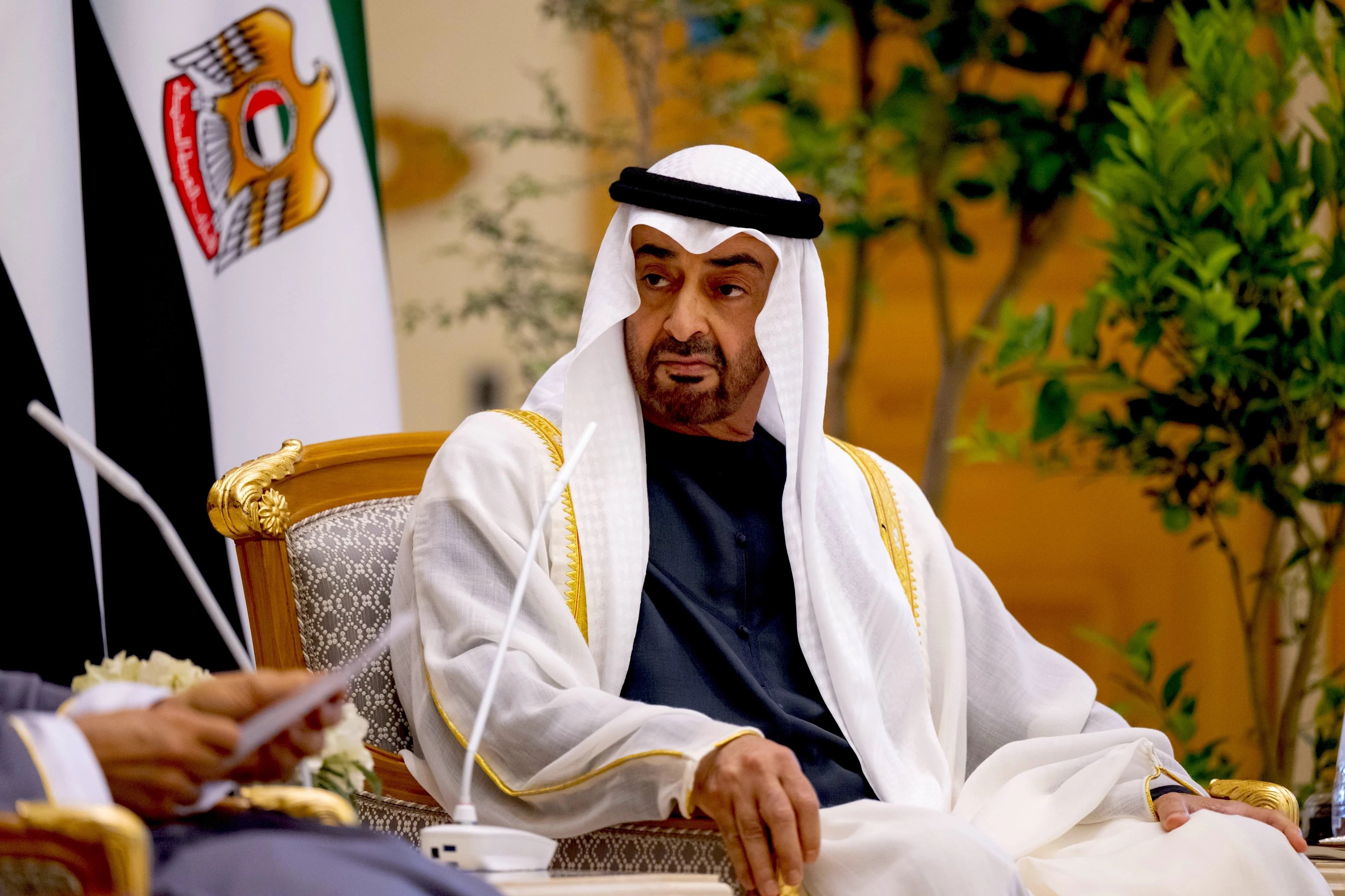 UAE Pressed Zionist Lobbies to Make Anti-semitism Claims