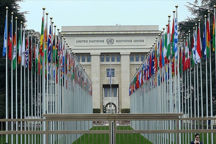 BM uzmanlarından men çağrısı