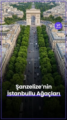 Şanzelize'nin Ağaçları