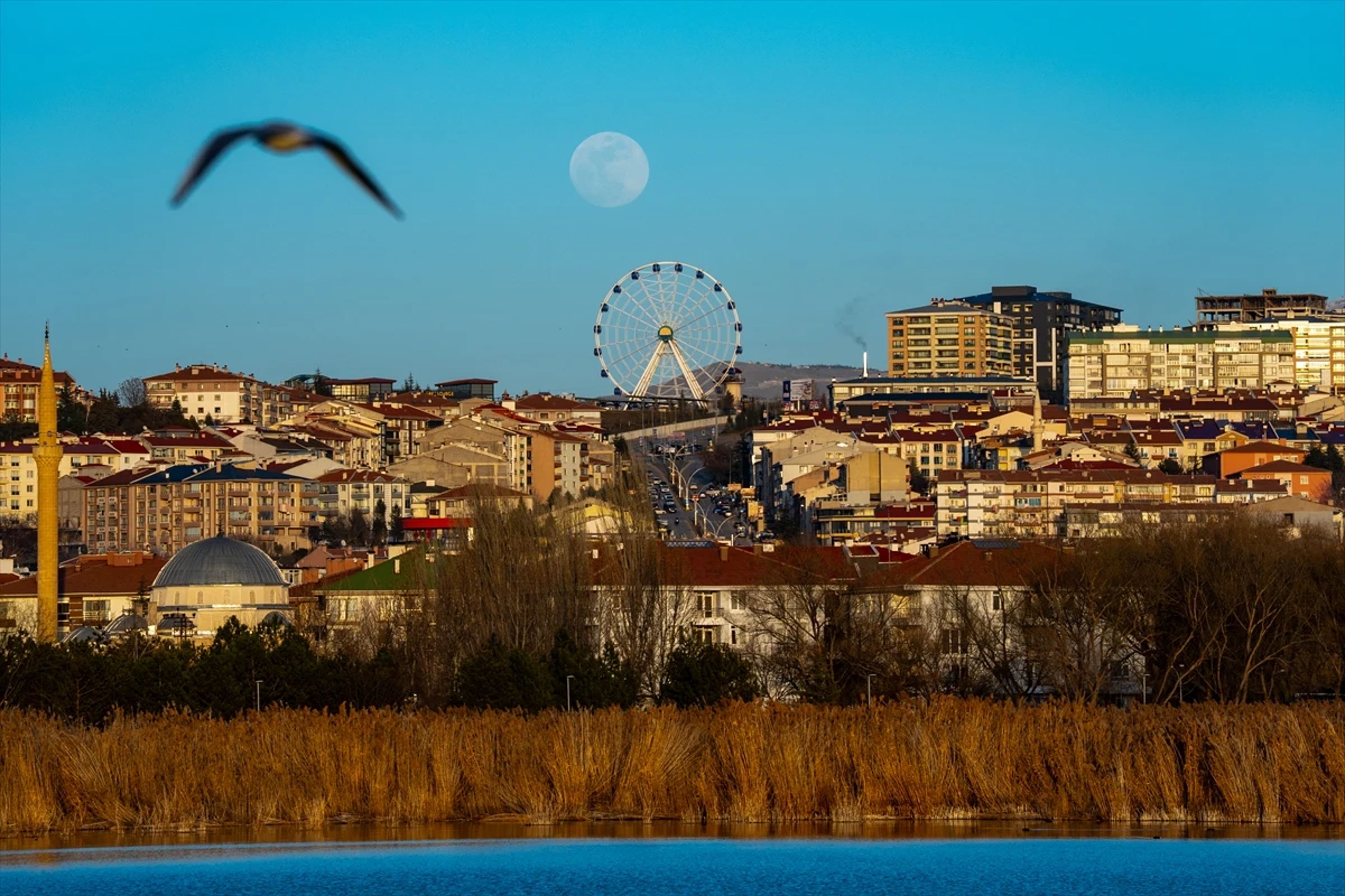 Galeri Fotoğrafı