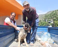 Hatay’da kuduz alarmı: 4 mahalle karantinada