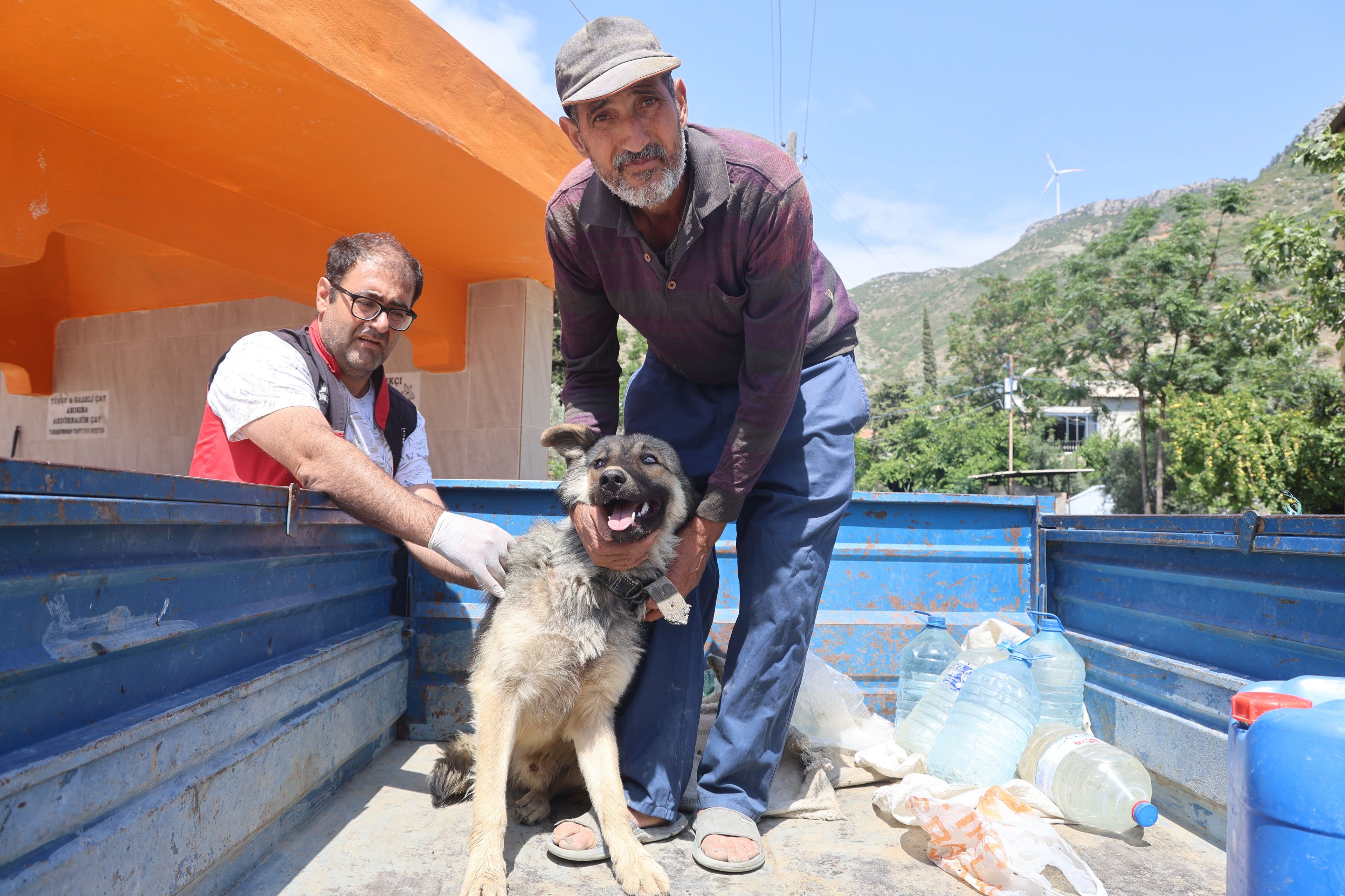 Hatay’da kuduz alarmı: 4 mahalle karantinada