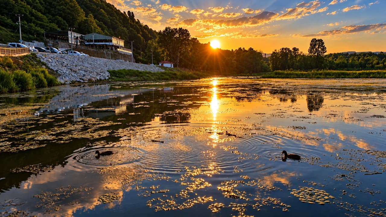 Düzce İl Kültür ve Turizm Müdürlüğü kayıtlarına göre Efteni Gölü'nde 150 ayrı kuş çeşidi ve değişik bitkiler bulunuyor. 
