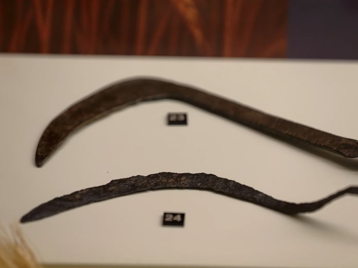 Çorum'da Hititlere ait 2 bin 800 yıllık orak ile Osmanlı dönemi orağı sergileniyor